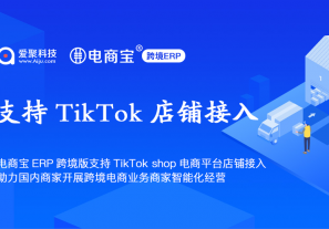 电商宝ERP跨境版支持对接TikTok shop电商平台店铺接入,助力国内商家开展跨境电商业务商家智能化经营！